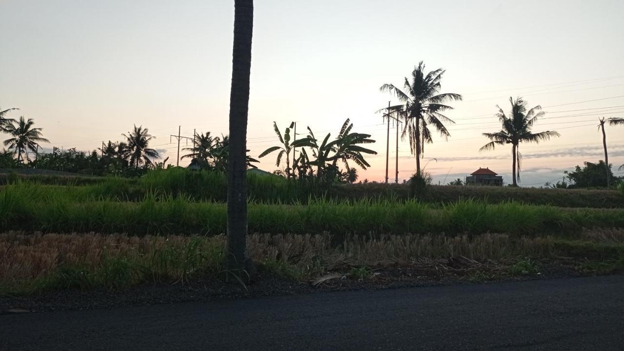 Neny'S Homestay Саба Экстерьер фото